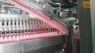 Fabrication minérale de bouteille d'eau de corps creux de SMC de soufflage de cavité automatique de la machine 4